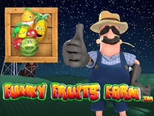 Простой способ заработка денег – слот Funky Fruits